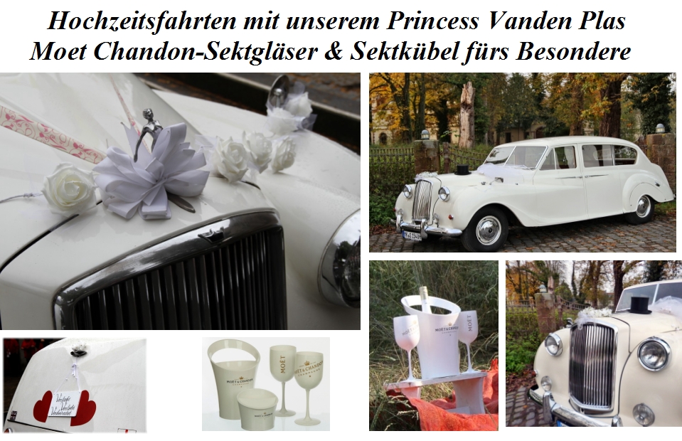 Requisiten für Wedding - just married